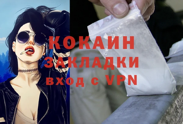 ГАЛЛЮЦИНОГЕННЫЕ ГРИБЫ Пересвет